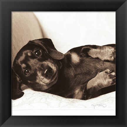 Framed Dachshund Diva Crop Print