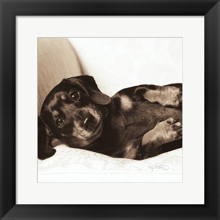 Framed Dachshund Diva Crop Print