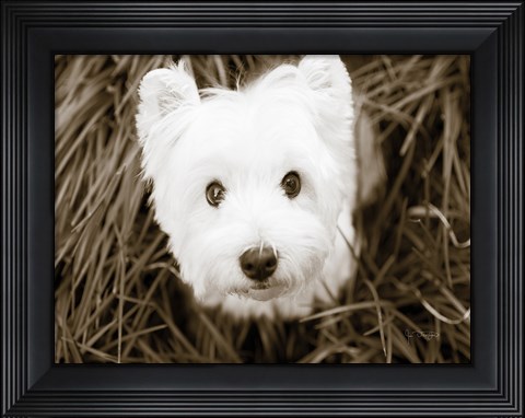 Framed What a Cutie Print