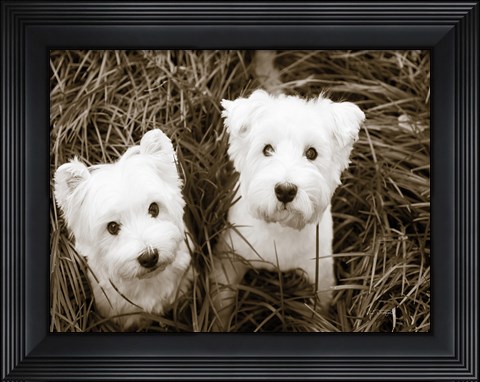 Framed Such Cuties Print