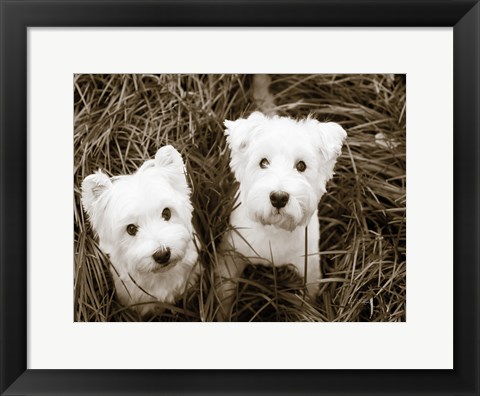 Framed Such Cuties Print