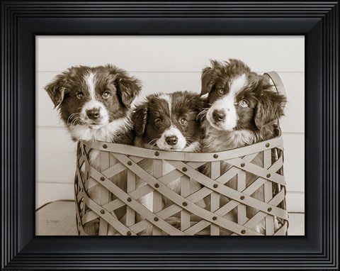 Framed What a Cute Bundle Print