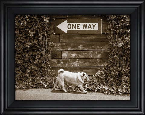 Framed Which Way Print