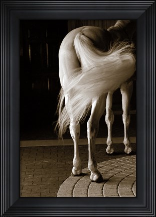 Framed Swoosh Print