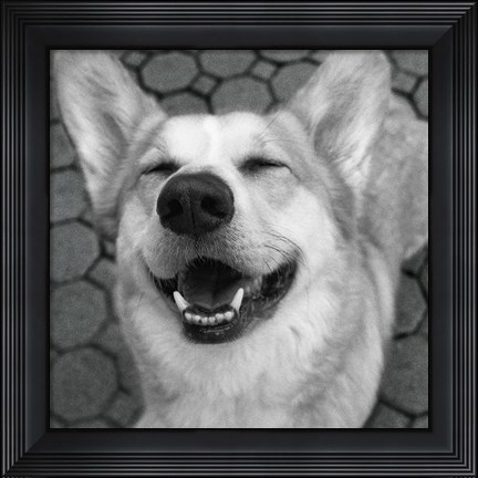 Framed Smile and the World Smiles with You Crop Dark Print