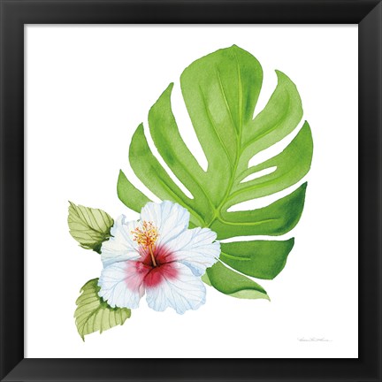 Framed Treasures of the Tropics VIII Print