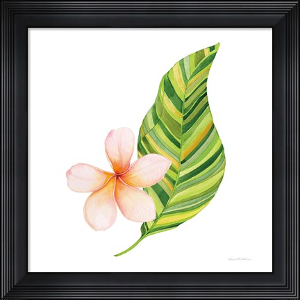 Framed Treasures of the Tropics X Print