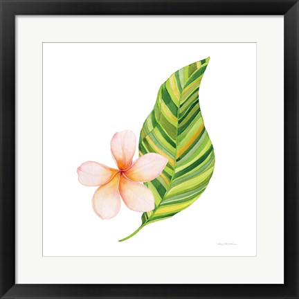 Framed Treasures of the Tropics X Print