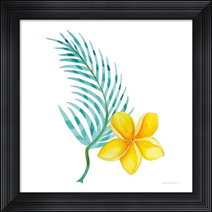Framed Treasures of the Tropics IX Print