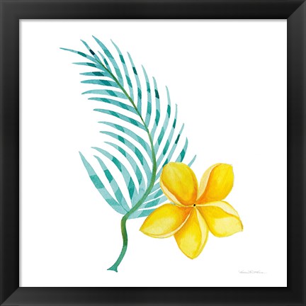 Framed Treasures of the Tropics IX Print