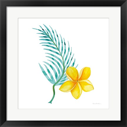 Framed Treasures of the Tropics IX Print