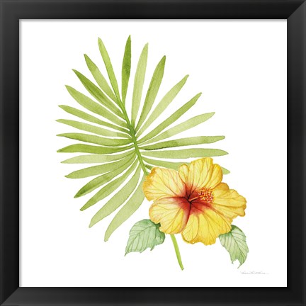 Framed Treasures of the Tropics XI Print