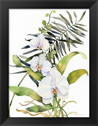 Framed Botanical Phalaenopsis Print
