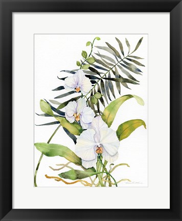 Framed Botanical Phalaenopsis Print