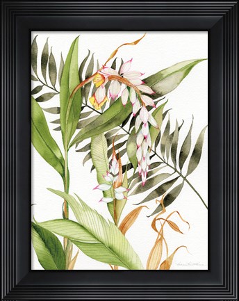 Framed Botanical Shell Ginger Print