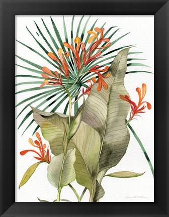 Framed Botanical Flame Lilies Print