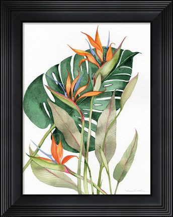 Framed Botanical Birds of Paradise Print