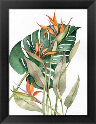 Framed Botanical Birds of Paradise Print