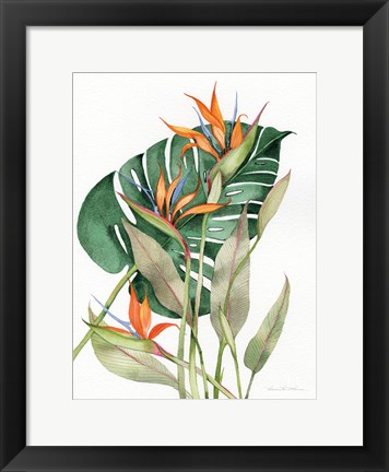 Framed Botanical Birds of Paradise Print