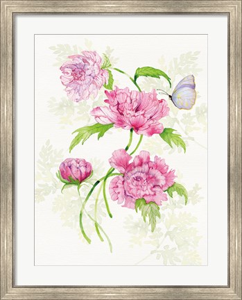 Framed Floral Delight III Butterflies Print