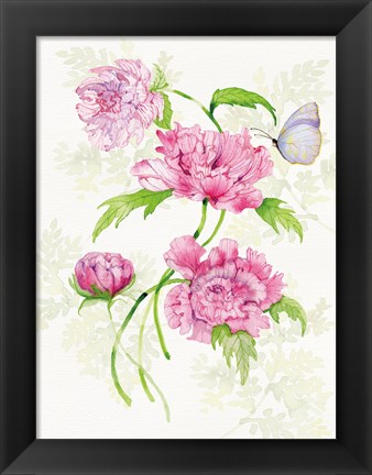 Framed Floral Delight III Butterflies Print