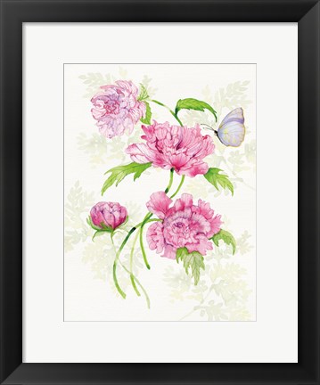 Framed Floral Delight III Butterflies Print