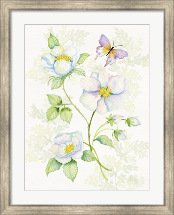 Framed Floral Delight V Butterflies Print
