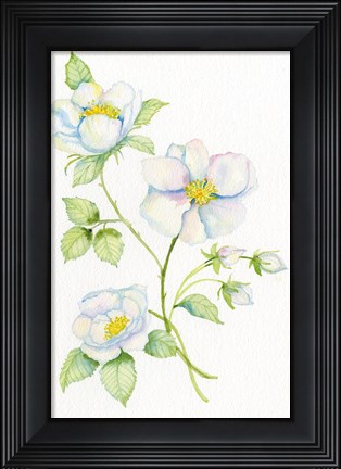 Framed Floral Delight V Print
