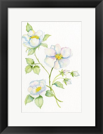 Framed Floral Delight V Print