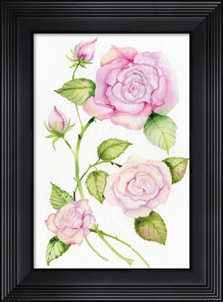 Framed Floral Delight IV Print