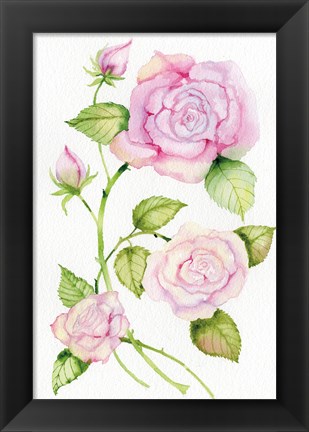 Framed Floral Delight IV Print