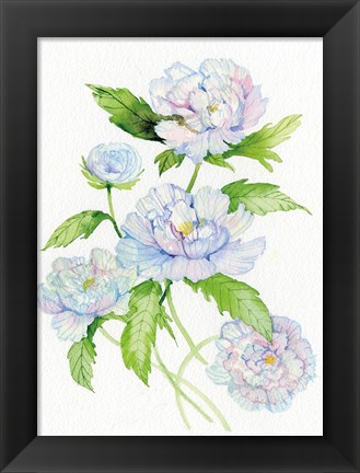 Framed Floral Delight II Print