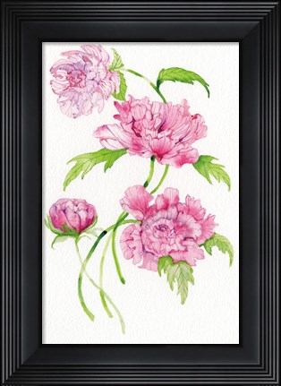Framed Floral Delight III Print