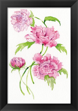 Framed Floral Delight III Print