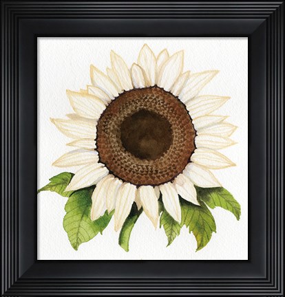 Framed Autumn Elegance White Sunflower Print