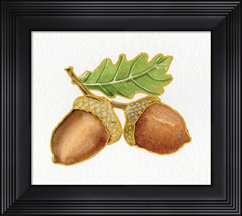 Framed Autumn Days Acorns Print