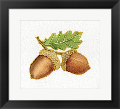 Framed Autumn Days Acorns Print