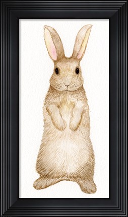 Framed Spring Bunny II White Print