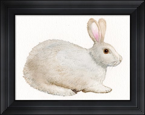 Framed Spring Bunny IV White Print