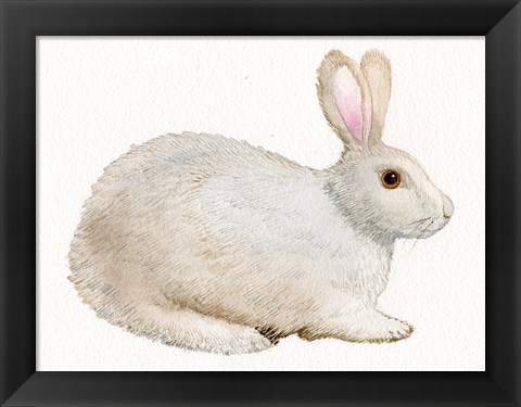 Framed Spring Bunny IV White Print