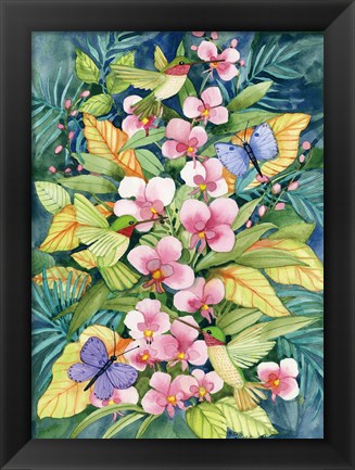 Framed Orchids and Hummingbirds Print