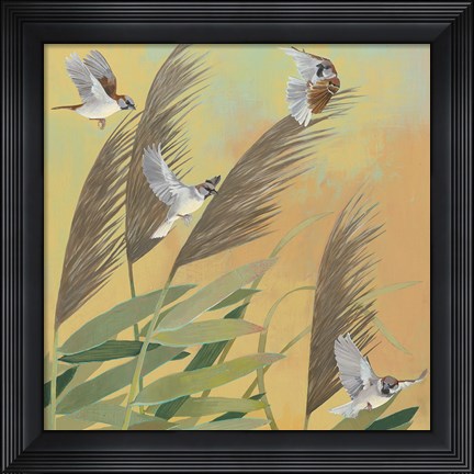 Framed Sparrows and Phragmates Sq Print