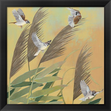 Framed Sparrows and Phragmates Sq Print