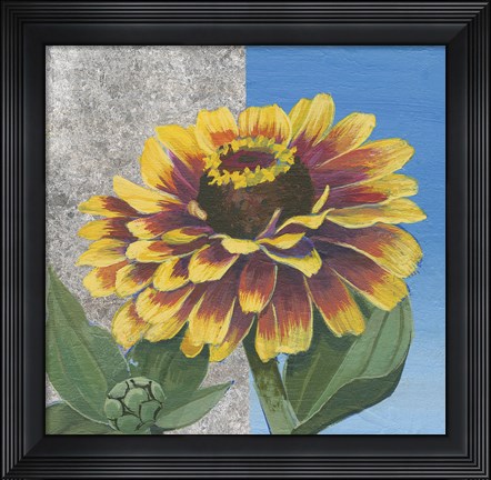 Framed Zinnia Spice and Silver Print