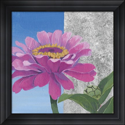 Framed Zinnia Pink and Silver Print