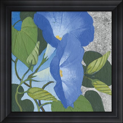 Framed Morning Glorious II Silver Print