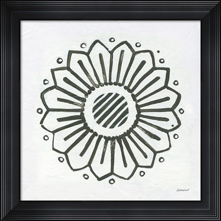 Framed Patterns of the Amazon Icon IX Print