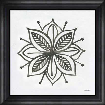Framed Patterns of the Amazon Icon XIV Print