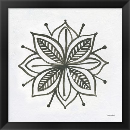 Framed Patterns of the Amazon Icon XIV Print