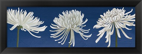 Framed Morning Chrysanthemums V Indigo Print